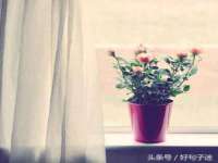 宿迁旭达包装材料有限公司