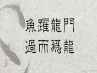 宿迁旭达包装材料有限公司