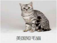 宿迁旭达包装材料有限公司