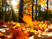 宿迁旭达包装材料有限公司