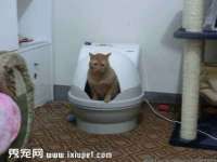 宿迁旭达包装材料有限公司