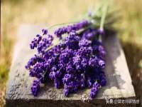 宿迁旭达包装材料有限公司